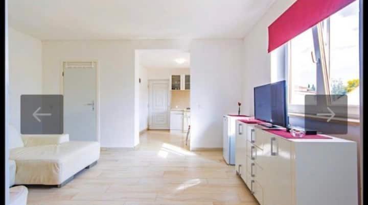 Apartments Eden Šišan المظهر الخارجي الصورة