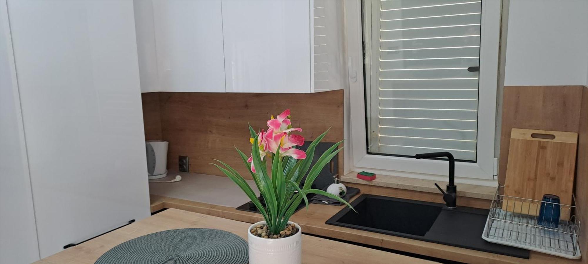 Apartments Eden Šišan المظهر الخارجي الصورة